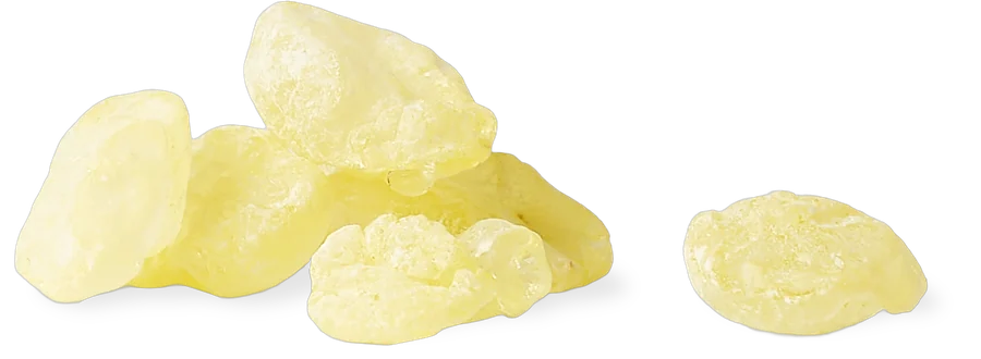 Mastic gum nuggets