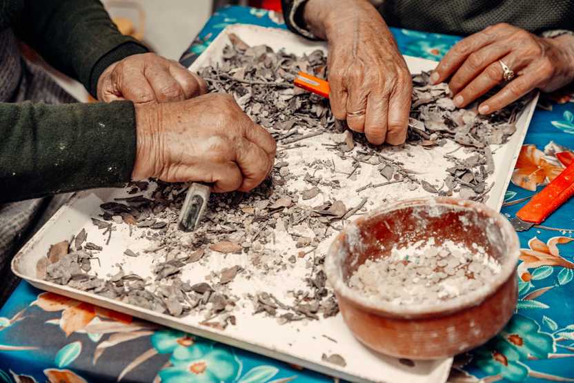 Close-up of two women’s hands as they sort and clean mastic resin drops from soil and debris.