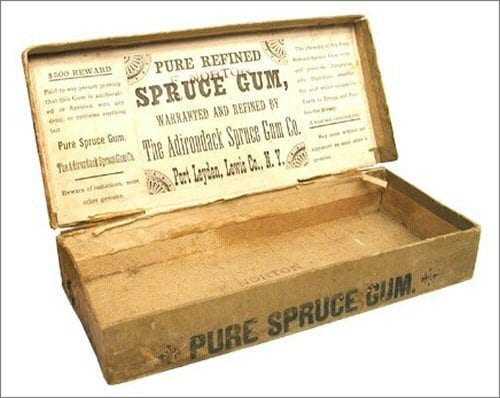 spruce gum