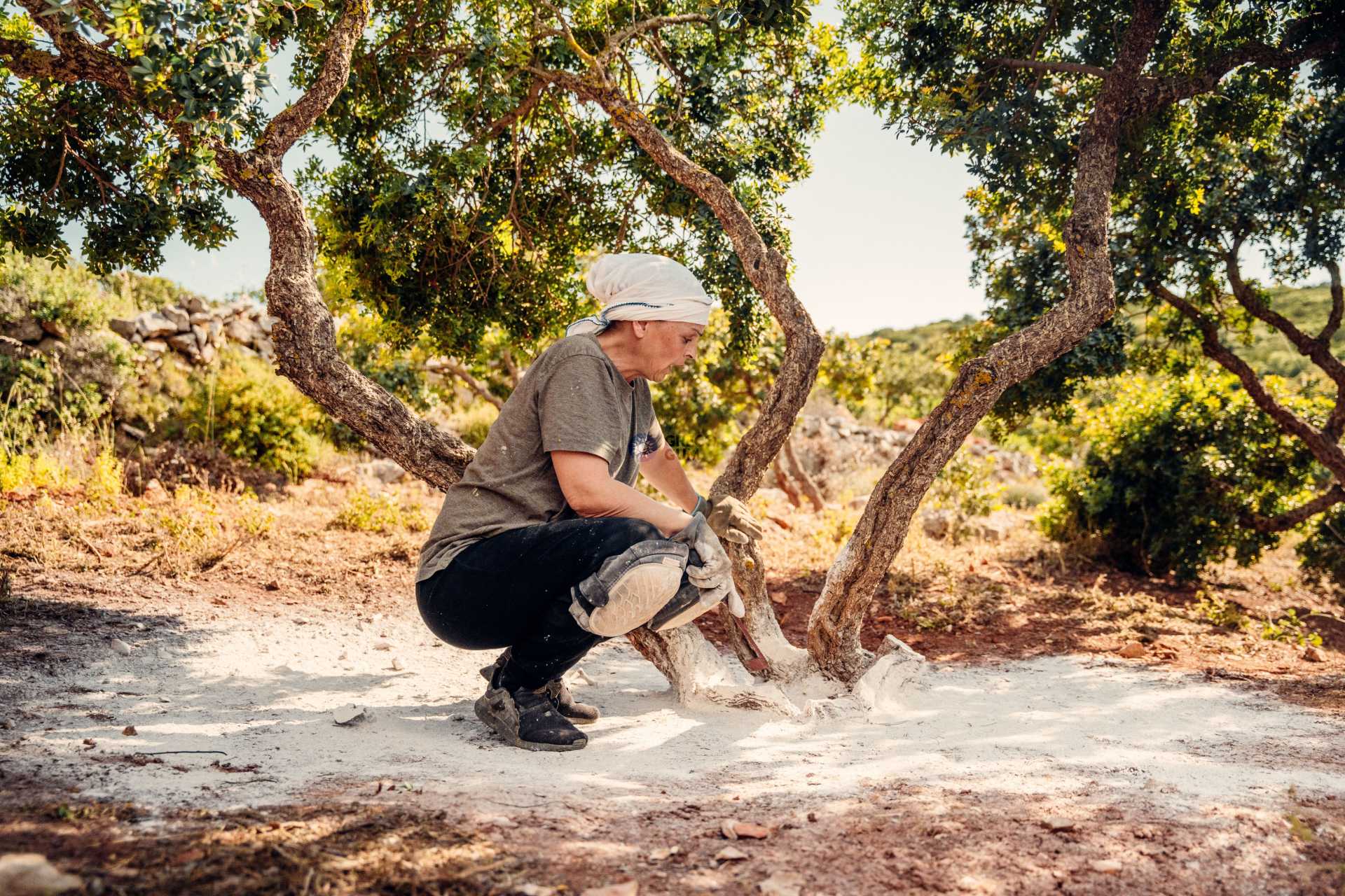 Female farmer squatting next to a mastic tree, tool in hand, one hand on the tree for support.