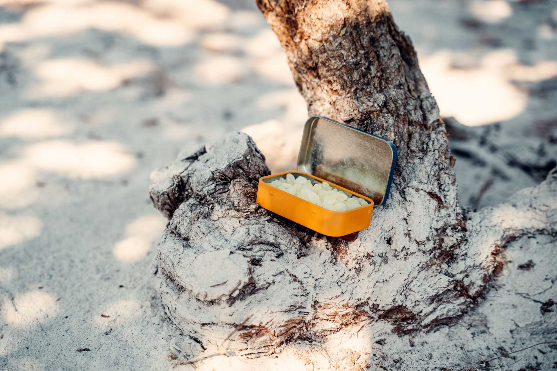 Tin of Greco Gum mastic nuggets perched against a mastic tree